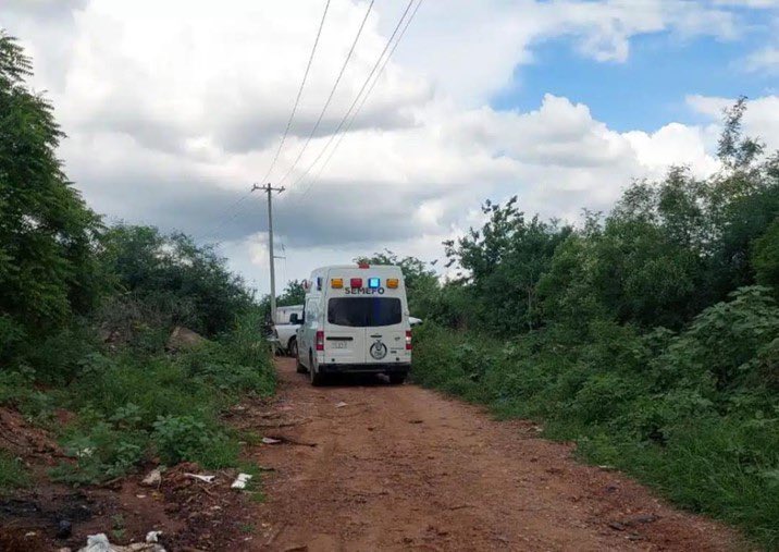 Hallan seis cuerpos sepultados cerca del fraccionamiento Vinoramas, Culiacán